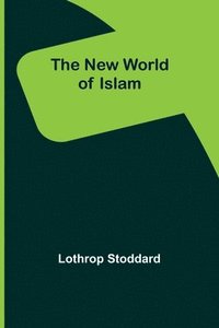 bokomslag New World of Islam