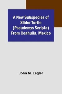 bokomslag A New Subspecies of Slider Turtle (Pseudemys scripta) from Coahuila, Mexico