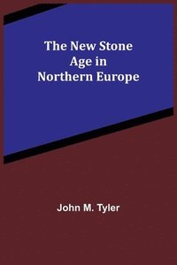 bokomslag The New Stone Age in Northern Europe