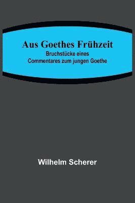 bokomslag Aus Goethes Frhzeit; Bruchstcke eines Commentares zum jungen Goethe