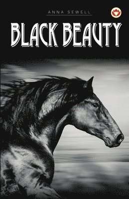 Anna Sewell - Black Beauty, Häftad