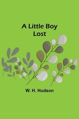 A Little Boy Lost 1