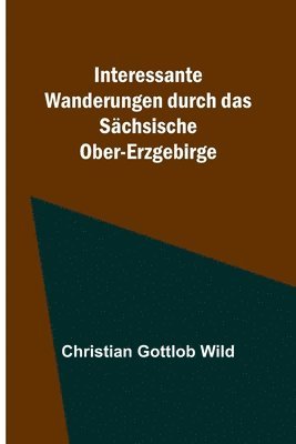 bokomslag Interessante Wanderungen durch das Schsische Ober-Erzgebirge