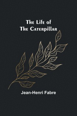 The Life of the Caterpillar 1