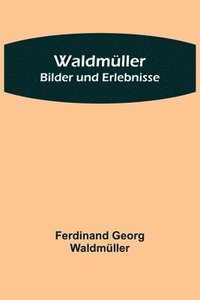 bokomslag Waldmüller