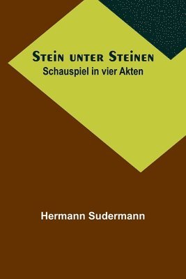 bokomslag Stein unter Steinen