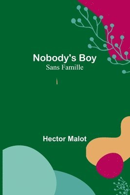 Hector Malot - Nobody's Boy; Sans Famille, Häftad