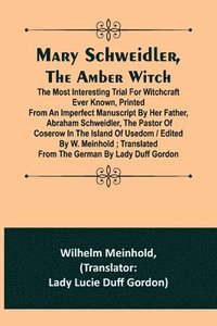 bokomslag Mary Schweidler, the amber witch; The most interesting trial for witchcraft ever known, printed from an imperfect manuscript by her father, Abraham Schweidler, the pastor of Coserow in the island of