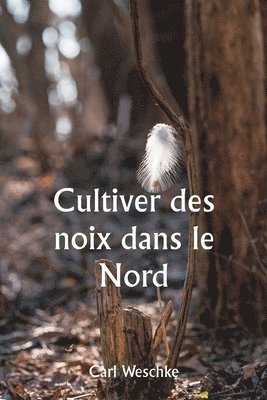 bokomslag Cultiver des noix dans le Nord Une histoire personnelle de l'expérience de l'auteur de 33 ans avec la culture des noix au Minnesota et au Wisconsin