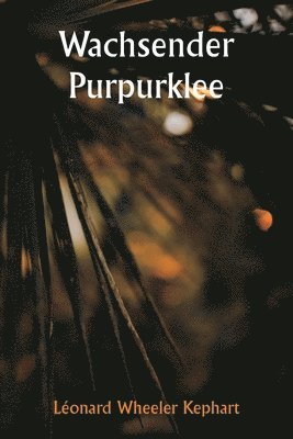 Wachsender Purpurklee 1