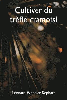 bokomslag Cultiver du trèfle cramoisi