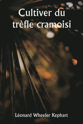 bokomslag Cultiver du trefle cramoisi