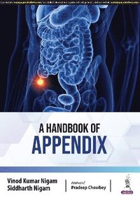 bokomslag A Handbook of Appendix