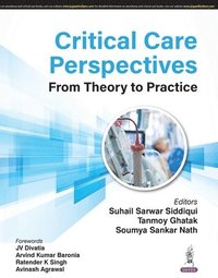 bokomslag Critical Care Perspectives