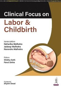bokomslag Clinical Focus on Labor & Childbirth