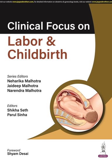 Neharika Malhotra, Jaideep Malhotra, Narendra Malhotra, Shikha Seth, Parul Sinha - Clinical Focus on Labor & Childbirth, Häftad