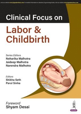 bokomslag Clinical Focus on Labor & Childbirth