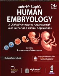 bokomslag Inderbir Singh's Human Embryology