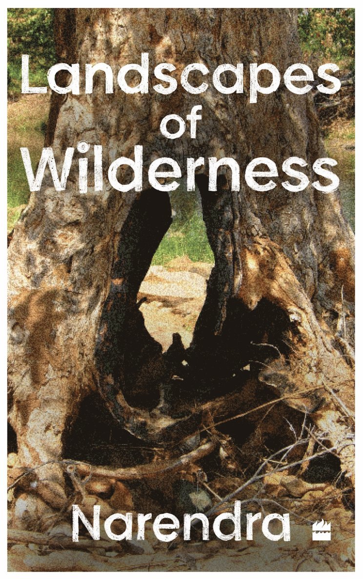 Landscapes Of Wilderness 1