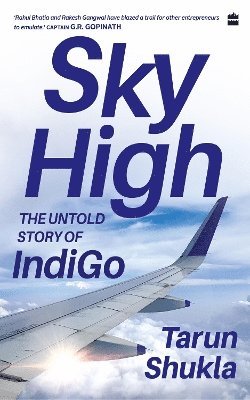 Sky High 1