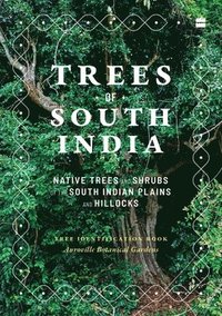 bokomslag Trees of South India