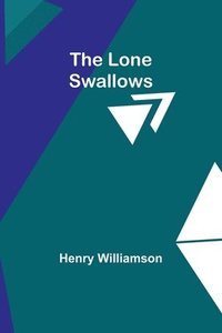 bokomslag Lone Swallows