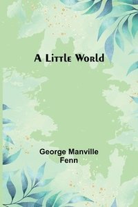 bokomslag Little World