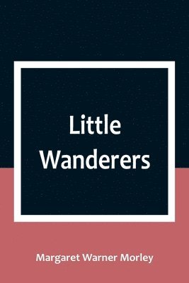 bokomslag Little Wanderers