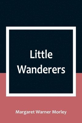 bokomslag Little Wanderers