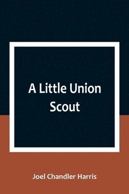 bokomslag Little Union Scout