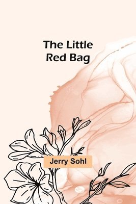 bokomslag Little Red Bag