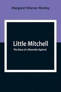 bokomslag Little Mitchell