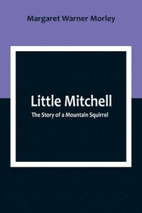 bokomslag Little Mitchell