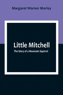 bokomslag Little Mitchell