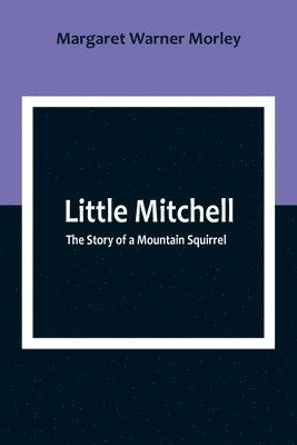 Little Mitchell 1