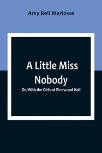 bokomslag A Little Miss Nobody; Or, With the Girls of Pinewood Hall