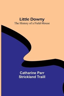 Little Downy 1