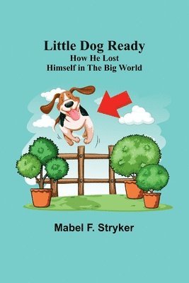 Mabel F Stryker - Little Dog Ready, Häftad