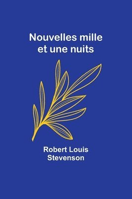 bokomslag Nouvelles mille et une nuits