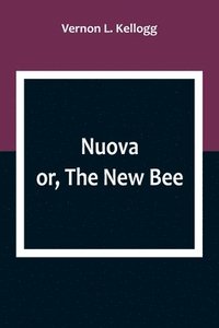 bokomslag Nuova; or, The New Bee