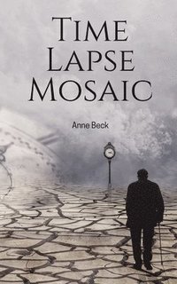 bokomslag Time Lapse Mosaic