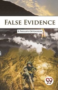 bokomslag False Evidence