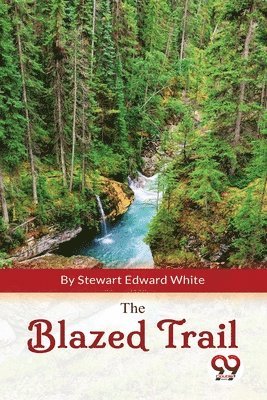 bokomslag Blazed Trail