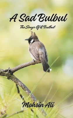 Sad Bulbul