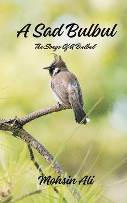 A Sad Bulbul 1