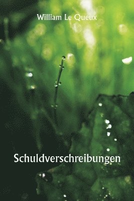 bokomslag Schuldverschreibungen