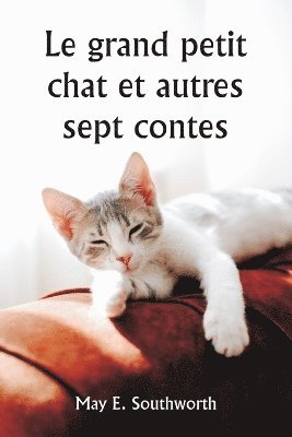 bokomslag Le grand petit chat et autres sept contes