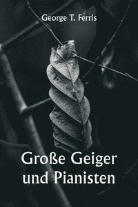 bokomslag Groe Geiger und Pianisten