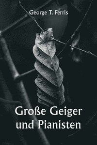 bokomslag Große Geiger und Pianisten