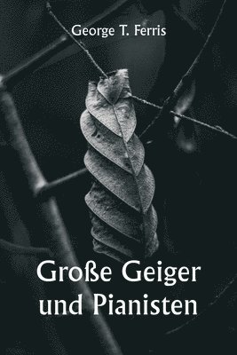 bokomslag Groe Geiger und Pianisten